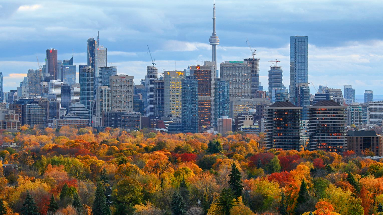 Inside Canada's Lending Market: What Every Borrower Should Know